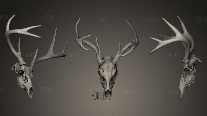 Deer Skull 3d stl модель для ЧПУ